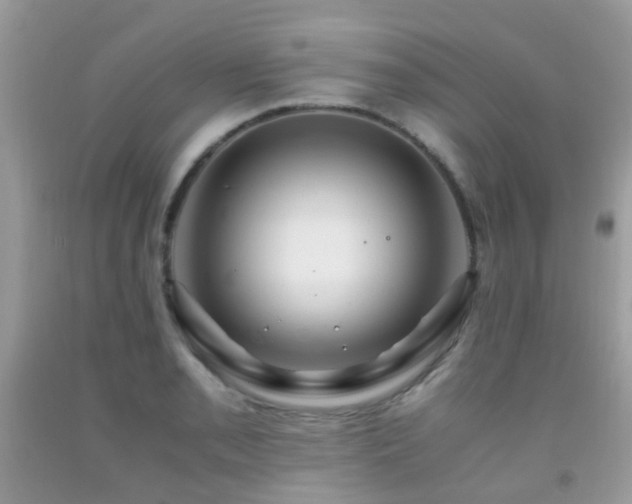 X0000091941085200709051517