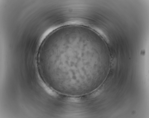 X0000091941086200709051517