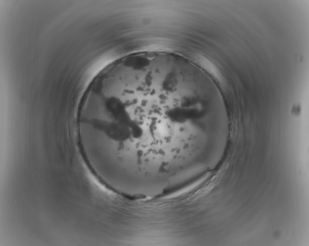 X0000091941087200709051517