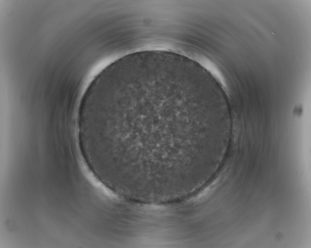 X0000091941088200709051517