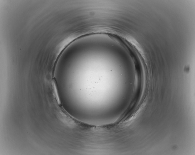 X0000091941089200709051517