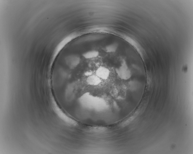 X0000091941090200709051517