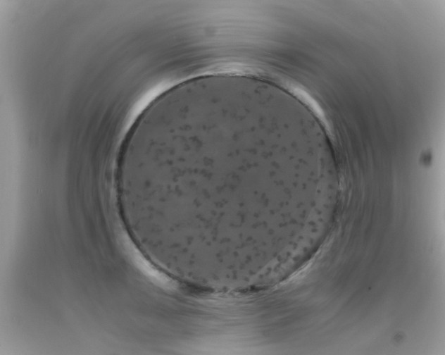 X0000091941091200709051517