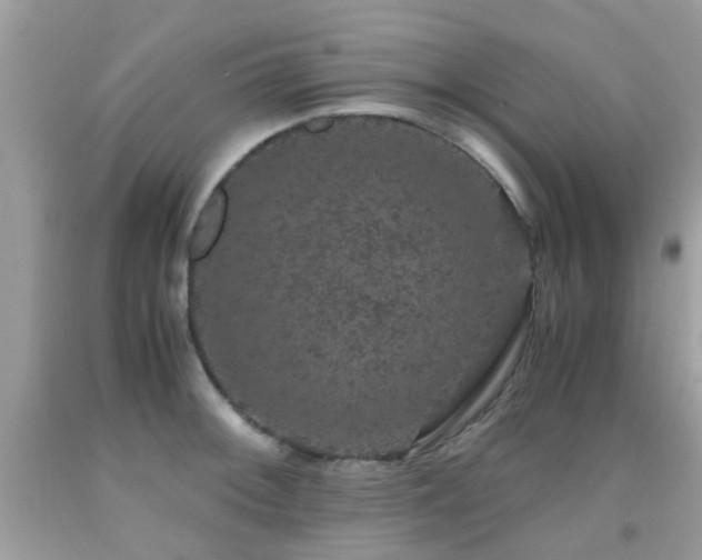 X0000091941092200709051517