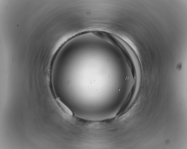 X0000091941093200709051517