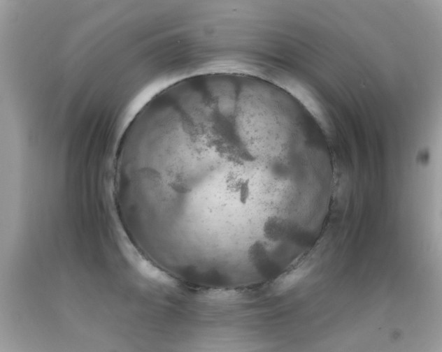 X0000091941094200709051517