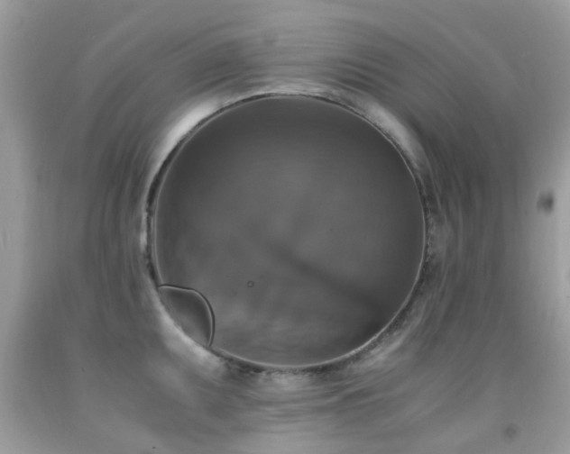 X0000091941095200709051517