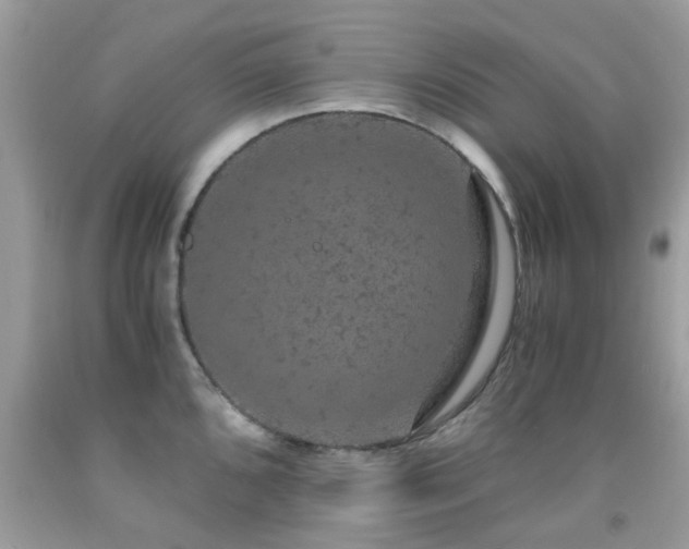 X0000091941096200709051517