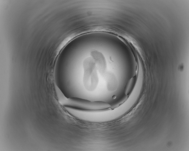 X0000091941097200709051517