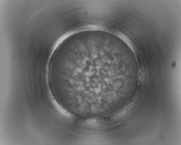 X0000091941098200709051517