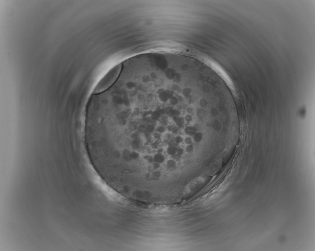 X0000091941099200709051517