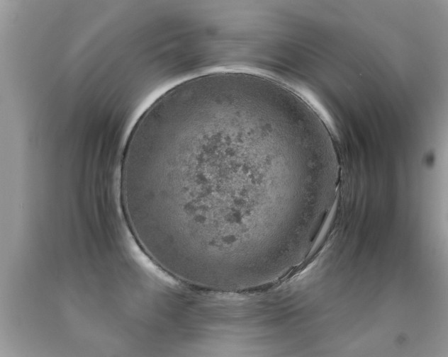 X0000091941100200709051517