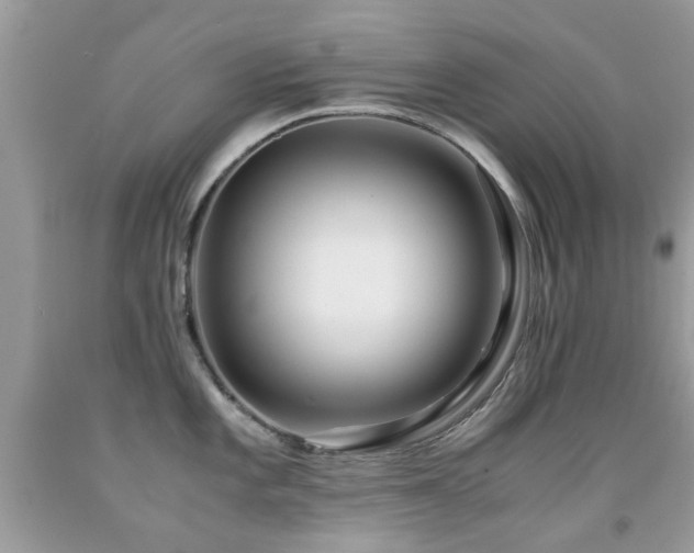 X0000091941101200709051517