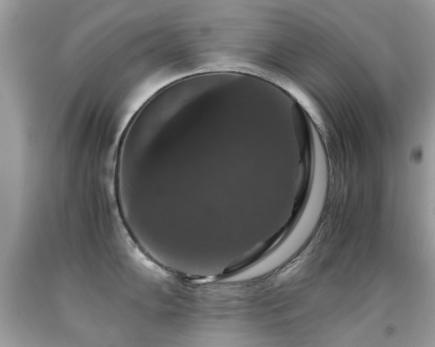 X0000091941102200709051517