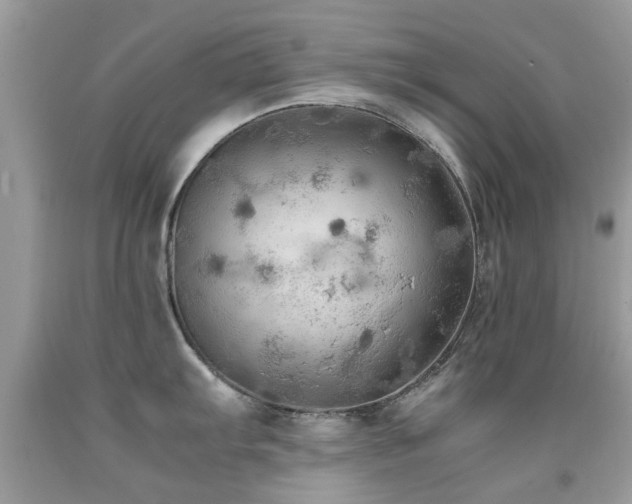 X0000091941103200709051517