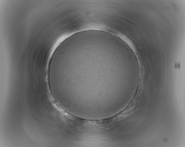 X0000091941104200709051517