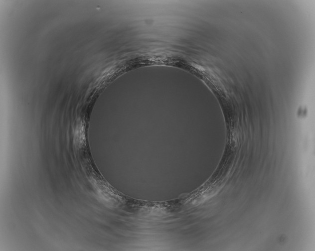 X0000091941106200709051516