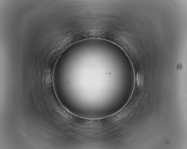 X0000091941107200709051516