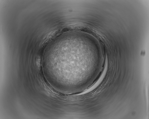 X0000091941108200709051516