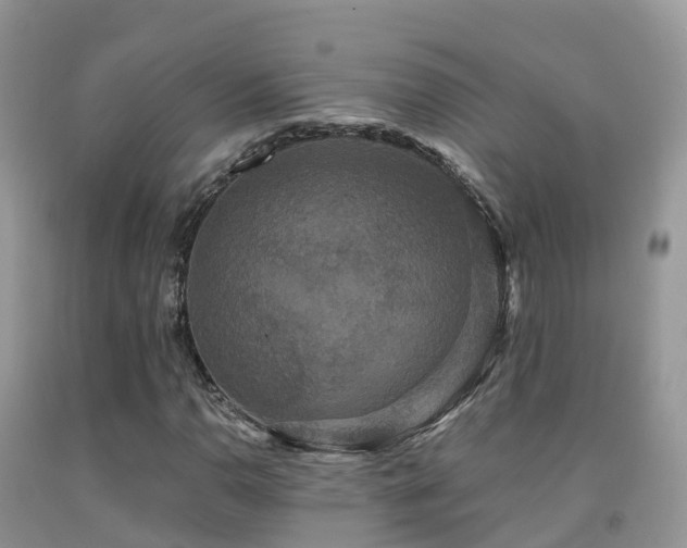 X0000091941110200709051516