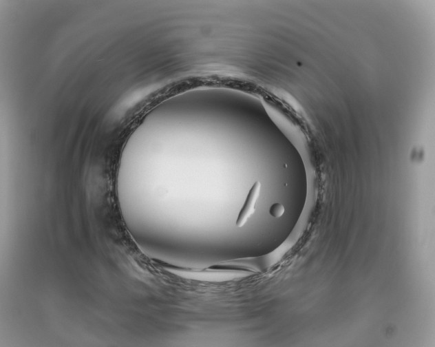 X0000091941112200709051516