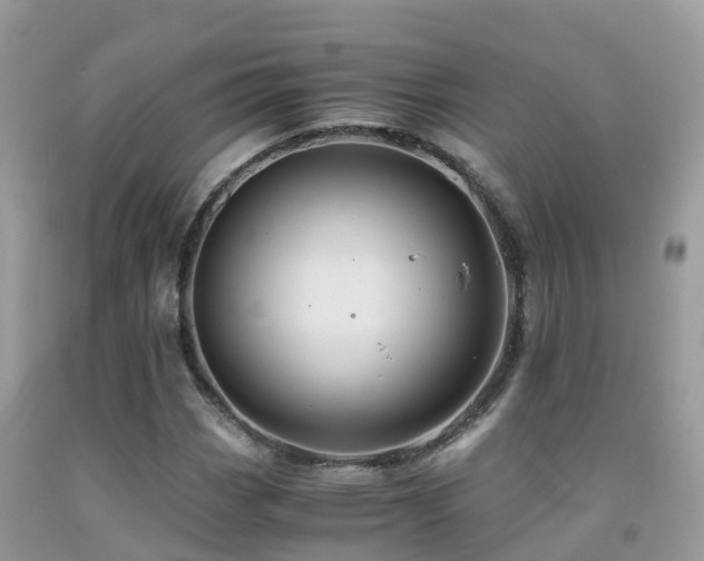 X0000091941113200709051516