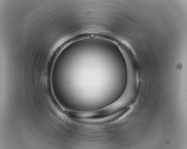 X0000091941114200709051516