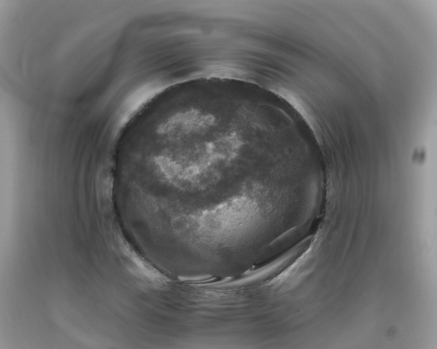 X0000091941115200709051517