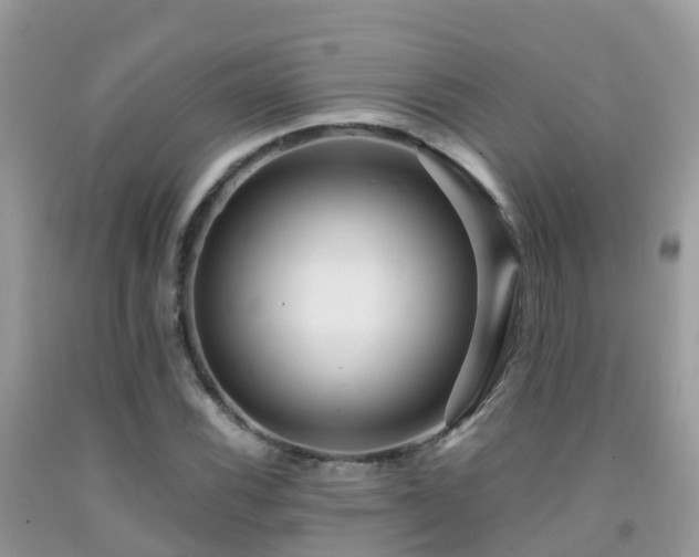 X0000091941116200709051517