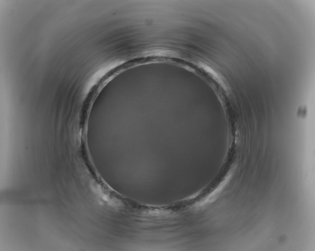 X0000091941117200709051517