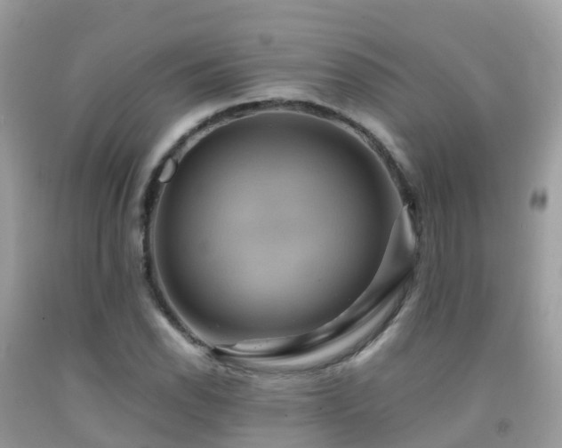 X0000091941118200709051517