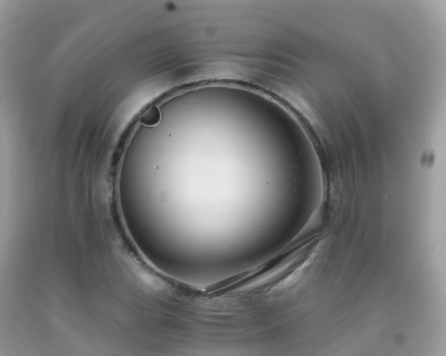 X0000091941119200709051517