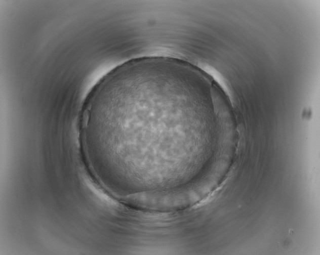 X0000091941120200709051517