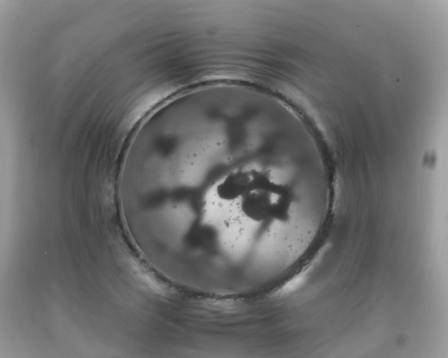 X0000091941121200709051517