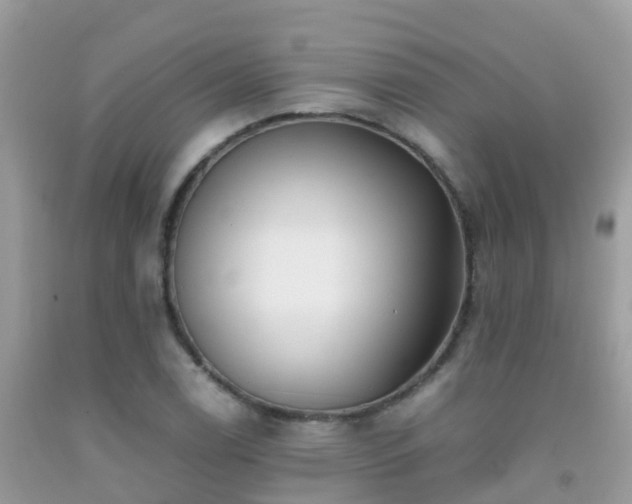 X0000091941122200709051517