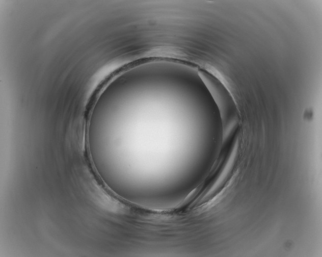 X0000091941123200709051517