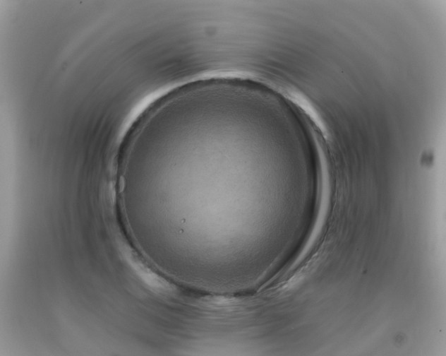 X0000091941124200709051517