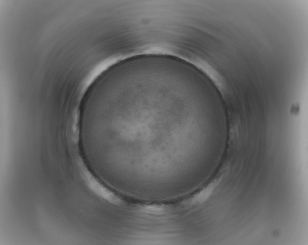 X0000091941126200709051517