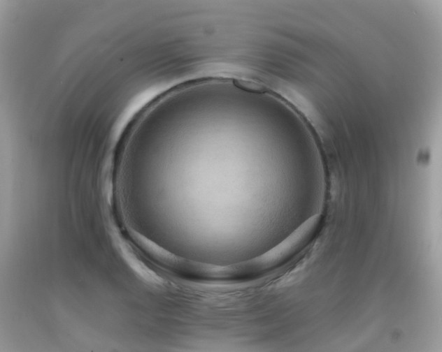 X0000091941128200709051517