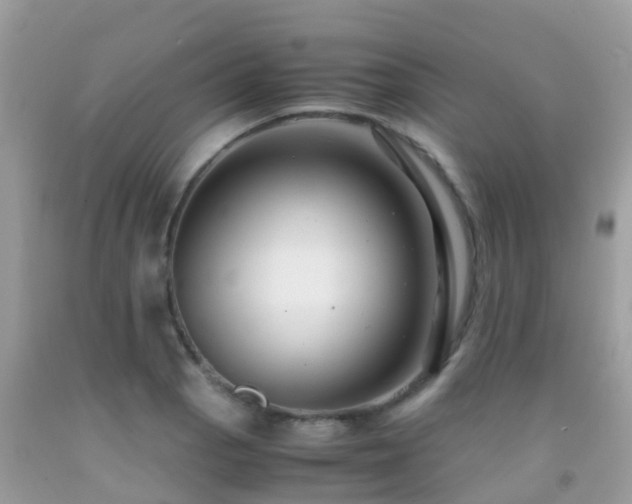 X0000091941129200709051517