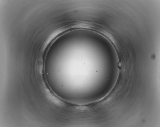 X0000091941131200709051517