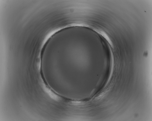 X0000091941132200709051517