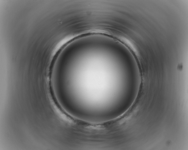 X0000091941133200709051517