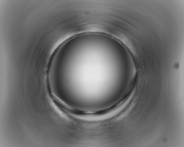 X0000091941134200709051517