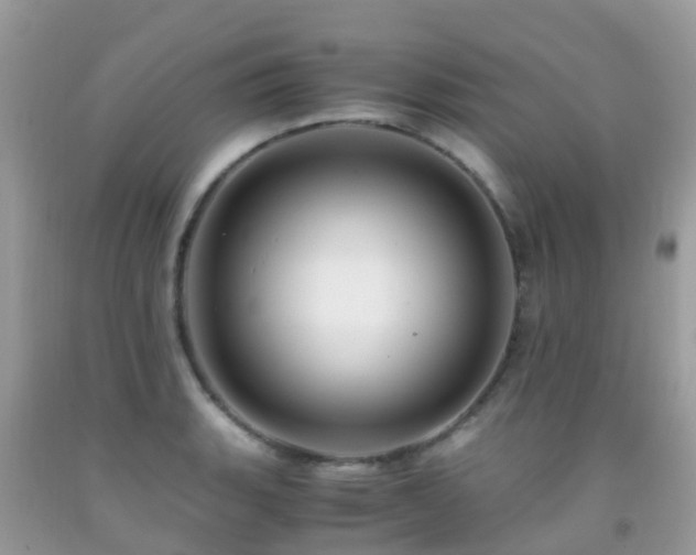 X0000091941135200709051517