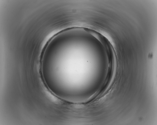 X0000091941136200709051517