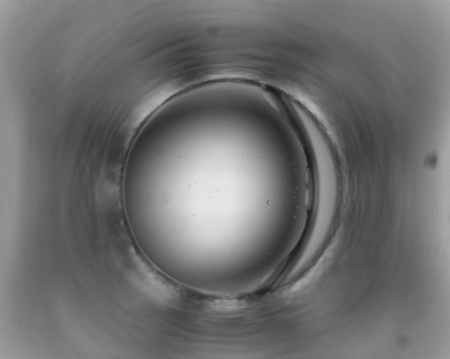 X0000091941137200709051517