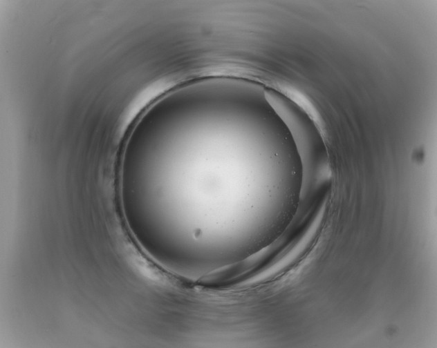 X0000091941138200709051517