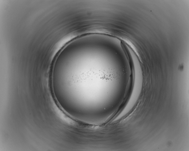 X0000091941139200709051517