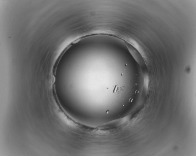 X0000091941140200709051517